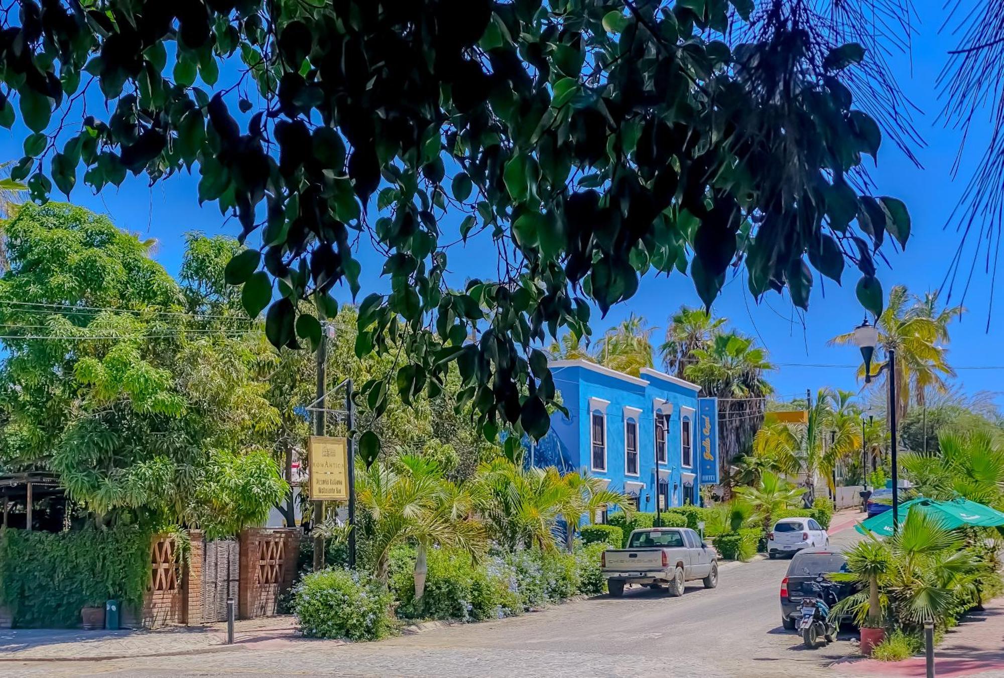 Gallo Azul Hotel, En El Corazon De Todos Santos Exterior foto