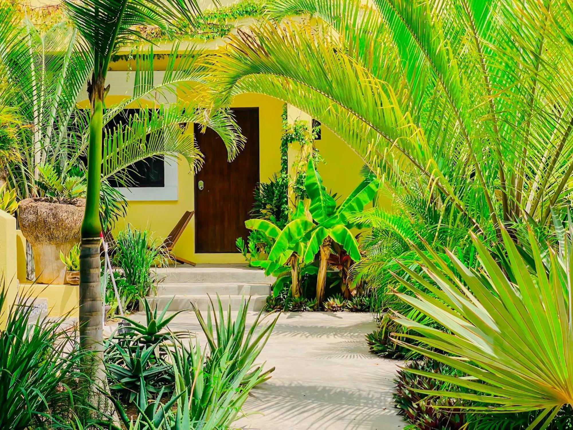 Gallo Azul Hotel, En El Corazon De Todos Santos Exterior foto