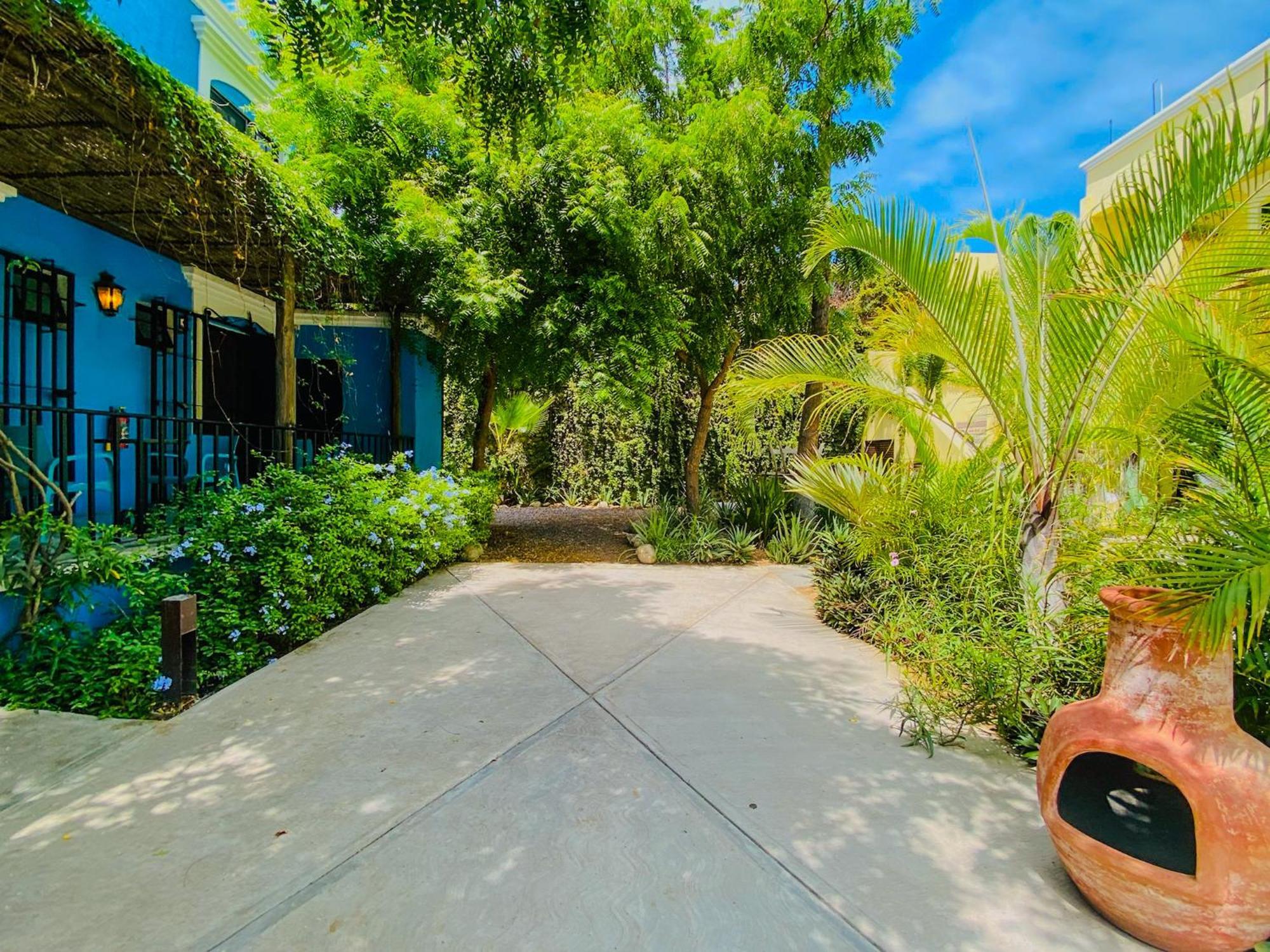 Gallo Azul Hotel, En El Corazon De Todos Santos Exterior foto